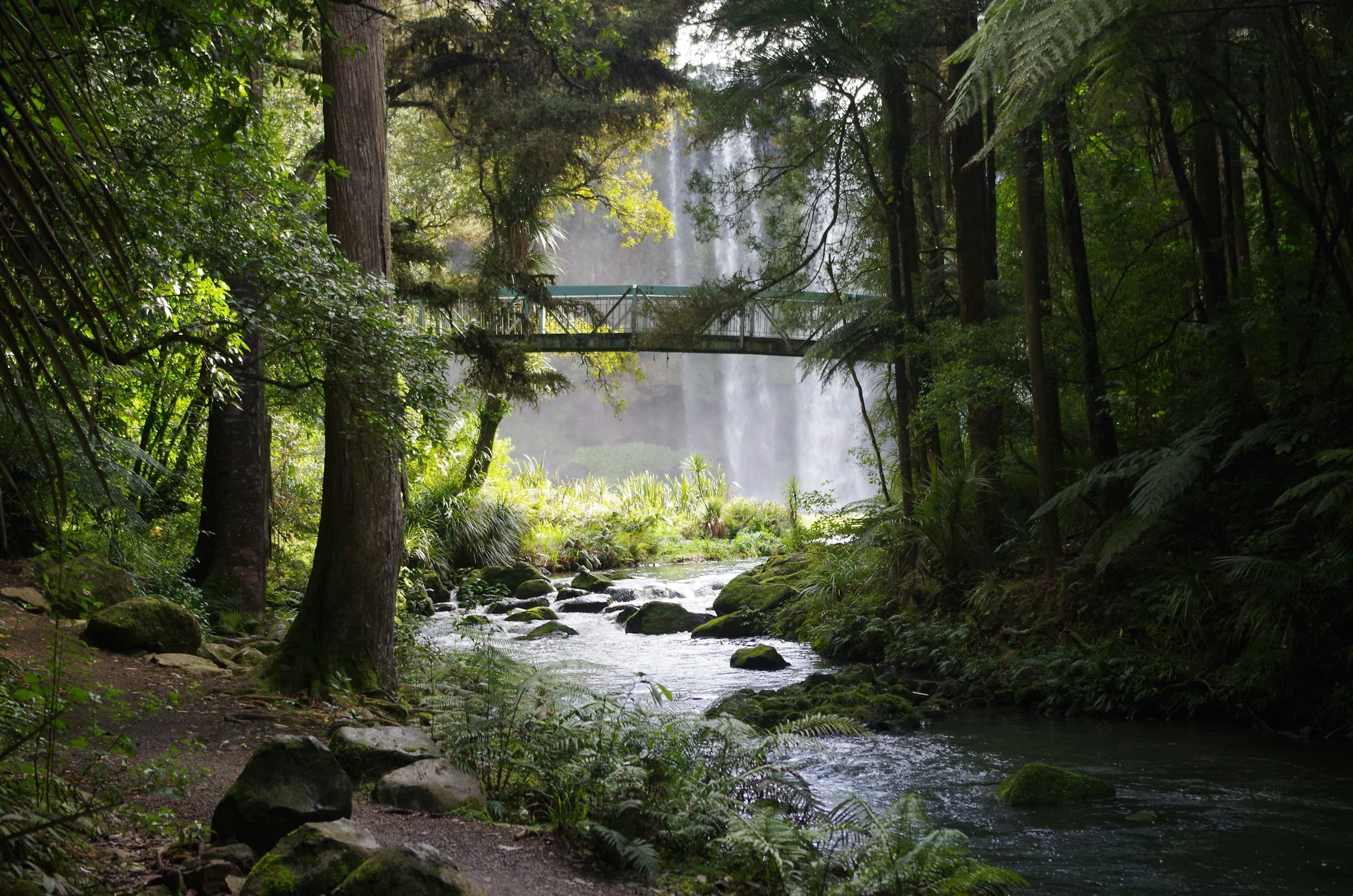 Bridge in Whangārei
