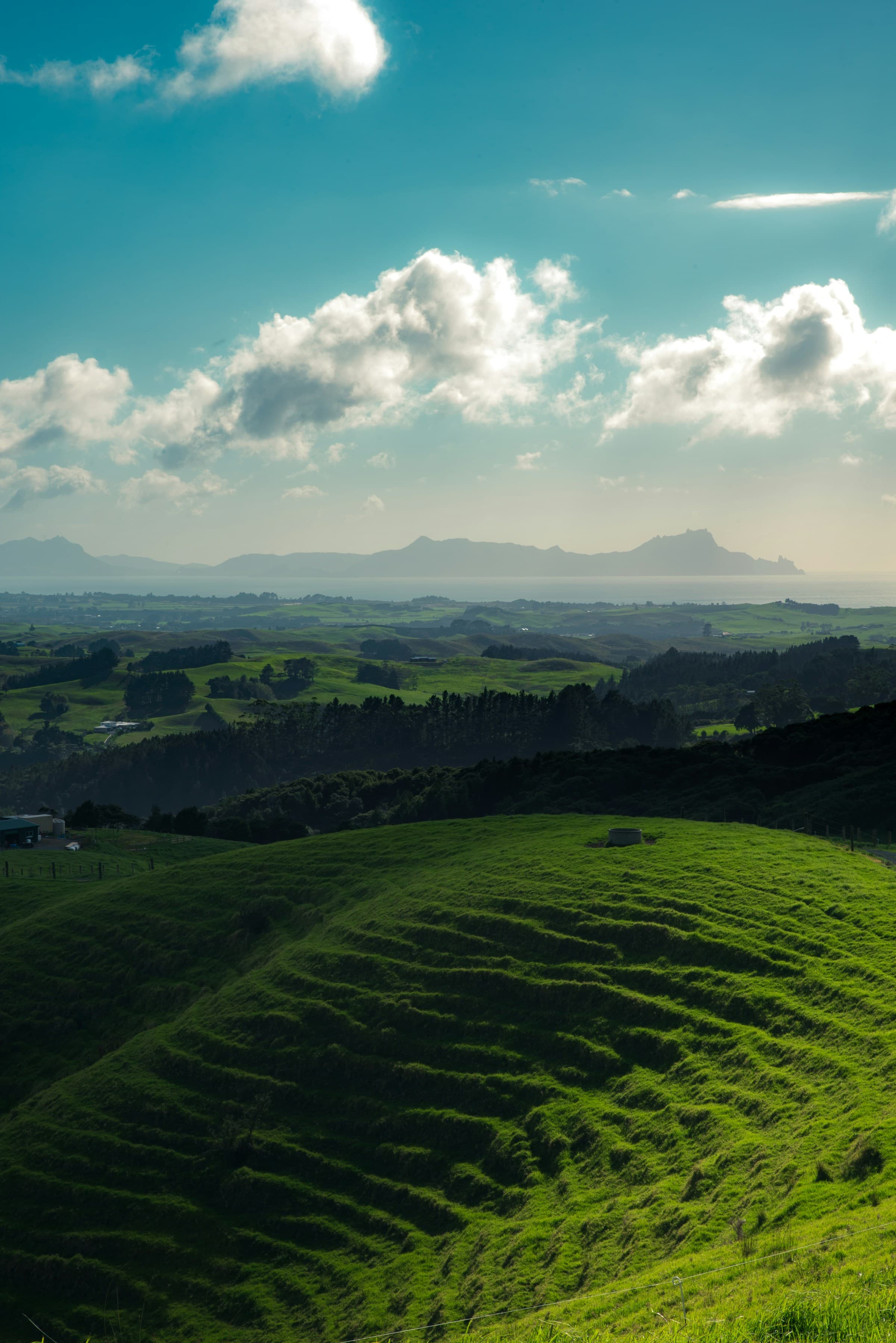 Whangārei city skyline